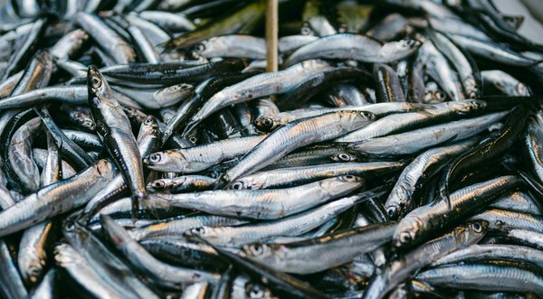 Maîtrisez l"art des exercices de kegel : le guide indispensable pour prévenir l"incontinence urinaire chez les femmes